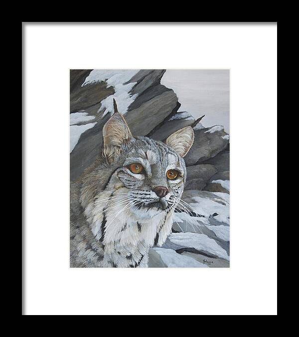North American Wildlife Framed Print featuring the painting Silent Hunter by Johanna Lerwick