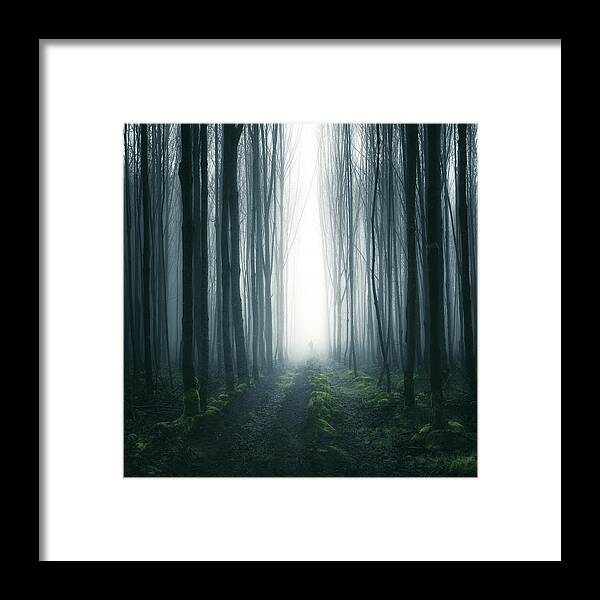 Scenics Framed Print featuring the photograph Silhouette of a person standing in a forest, Cootehill, County Cavan, Ireland by Mariuskasteckas