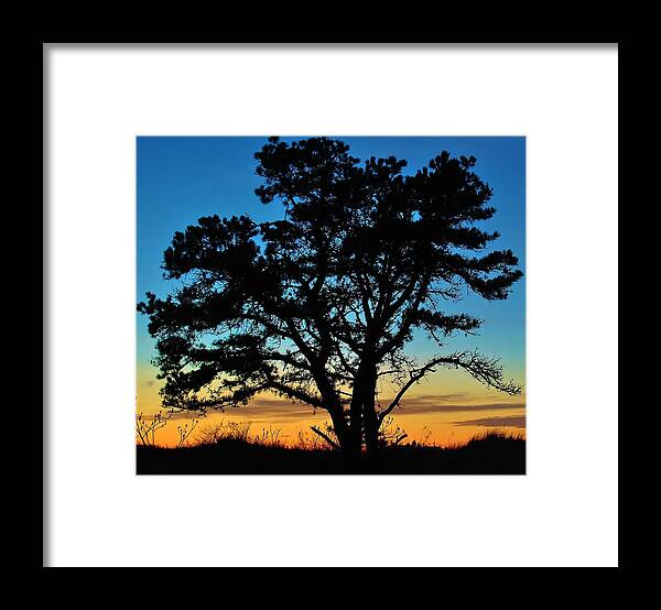 Prouts Neck Framed Print featuring the photograph Silhouette by Paul Noble