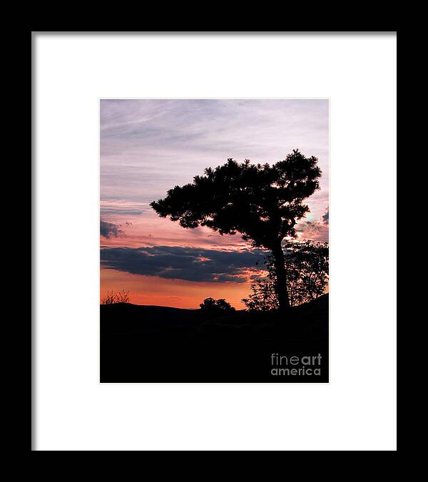 Silhouette Framed Print featuring the photograph Silhouette by Rick Kuperberg Sr