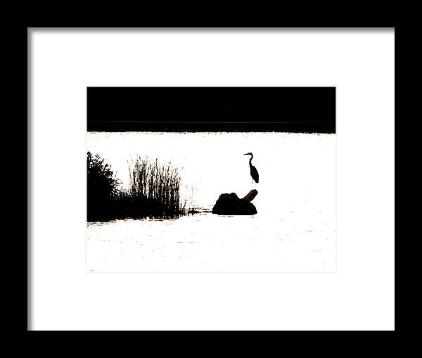 Silhouette Framed Print featuring the photograph Silhouette by Zinvolle Art