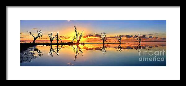 Silhouettes Dead Gum Tree Line Still Calm Water Reflections Sunrise Dawn Early Morning Pelican Point Lake Barmera Bonney Riverland South Australia Australian Framed Print featuring the photograph Silhouetted Sential Sunset by Bill Robinson