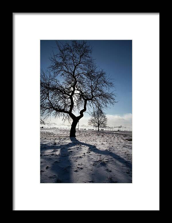 Sun Framed Print featuring the photograph Silhouetted Tree In Winter by Jim West