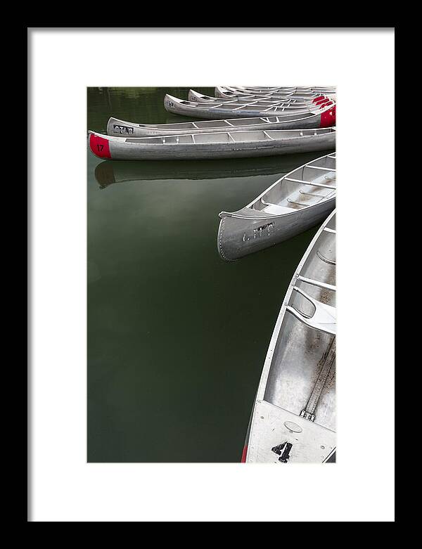 Vertical Framed Print featuring the photograph Silver Fish I by Jon Glaser