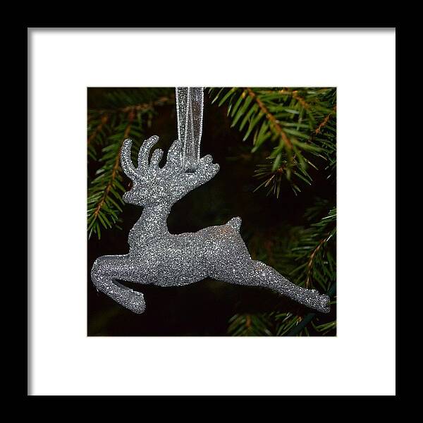 Somuchfun Framed Print featuring the photograph Silver Rudolph. by Eve Tamminen