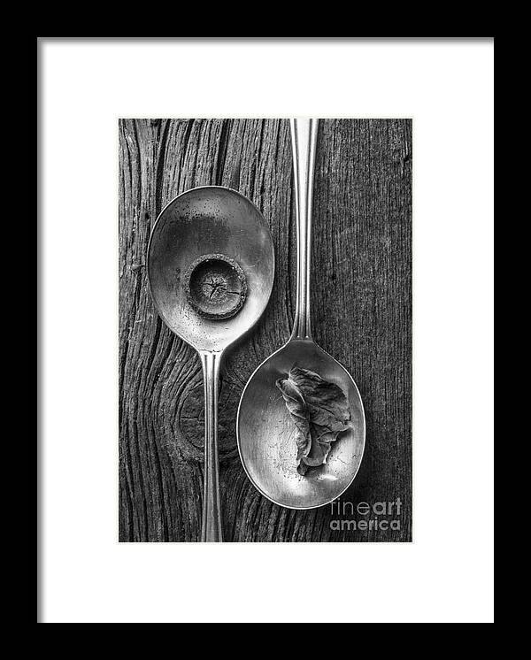 Studio Framed Print featuring the photograph Silver Spoons Black and White by Edward Fielding