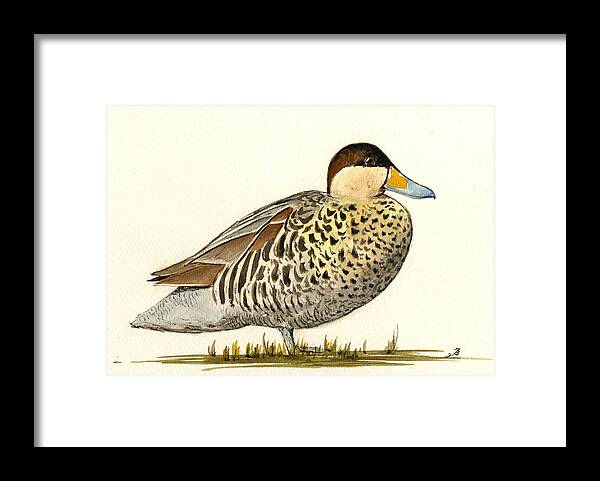  Duck Framed Print featuring the painting Silver Teal by Juan Bosco