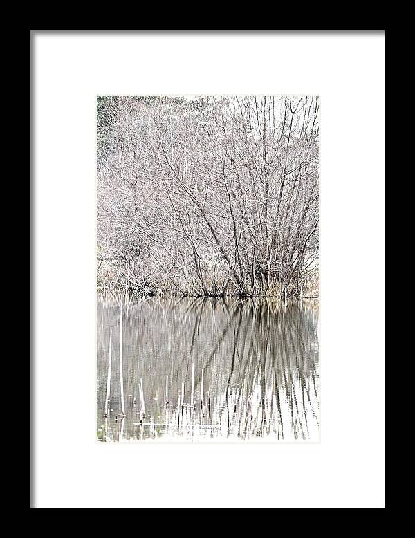 Silvery Winter's Day Framed Print featuring the photograph Silvery Winter's Day by Maria Urso