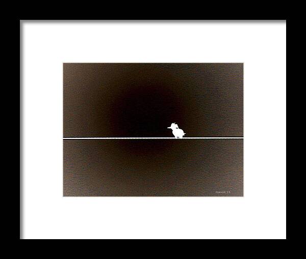 Kingfisher Framed Print featuring the photograph Simplicity by T Guy Spencer