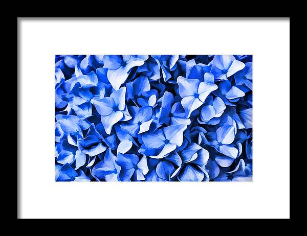 Blue Framed Print featuring the photograph Simply Blue by Cathy Kovarik