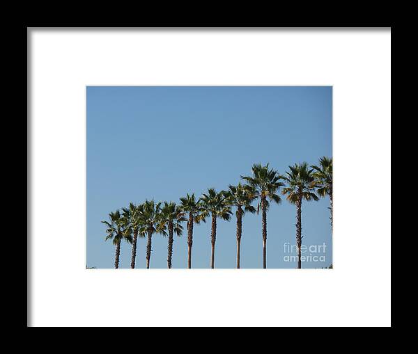 Palm Trees Framed Print featuring the photograph Simply Palms by HEVi FineArt
