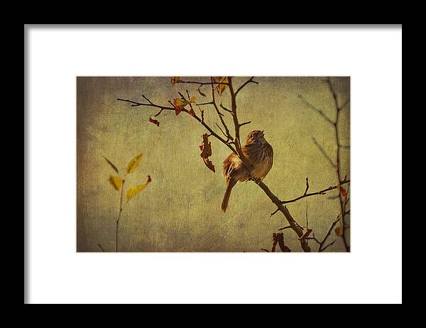 Sparrows Framed Print featuring the photograph Singing Sparrow by Peggy Collins
