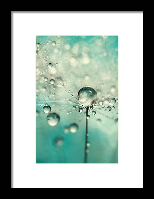 Dandelion Framed Print featuring the photograph Single Dandy Starburst by Sharon Johnstone