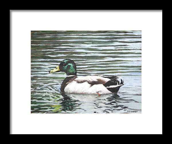 Mallard Framed Print featuring the painting Single mallard duck in water by Martin Davey