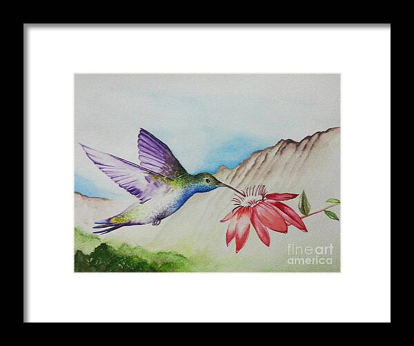 Hummingbird Framed Print featuring the painting Sipping Sweet Original by Jerome Wilson