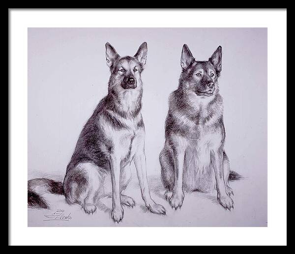 Animals Framed Print featuring the drawing Sisters by Serguei Zlenko