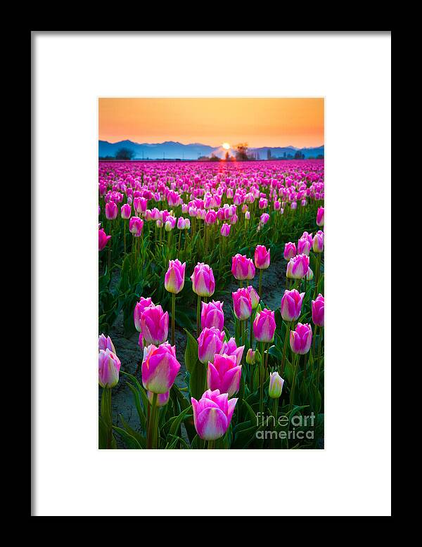 America Framed Print featuring the photograph Skagit Valley Dawn by Inge Johnsson