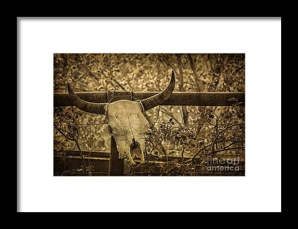 Skull In Sepia Framed Print featuring the photograph Skull in Sepia by Priscilla Burgers