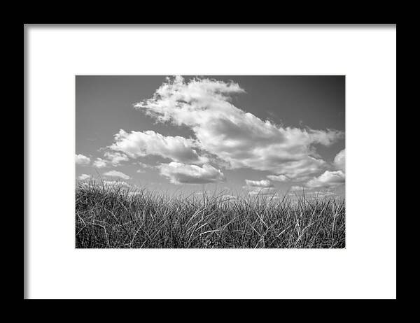 Sky Framed Print featuring the photograph Sky Grass by Frank Winters