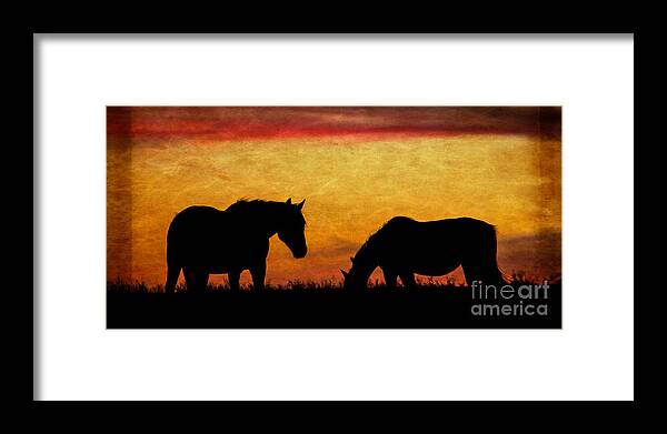 Horses Framed Print featuring the photograph Sky on Fire by Jim McCain