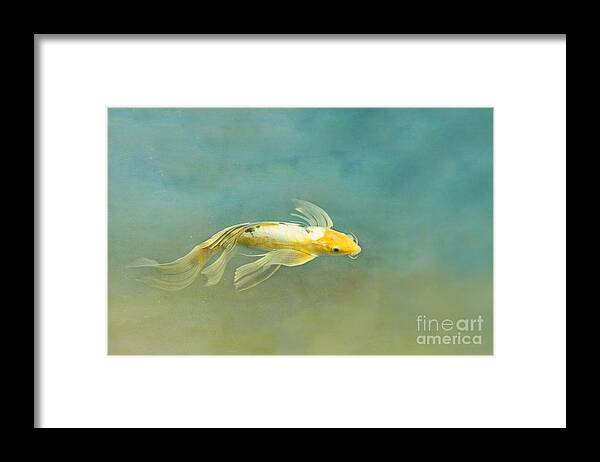 Fish Framed Print featuring the photograph Skylark by Marilyn Cornwell