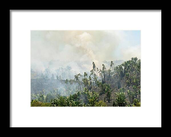 Madagascar Framed Print featuring the photograph Slash And Burn Agriculture by Philippe Psaila/science Photo Library