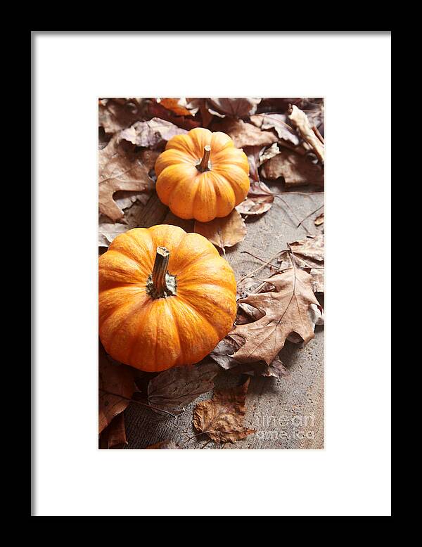 Background Framed Print featuring the photograph Small pumpkins on fall leaves by Sandra Cunningham