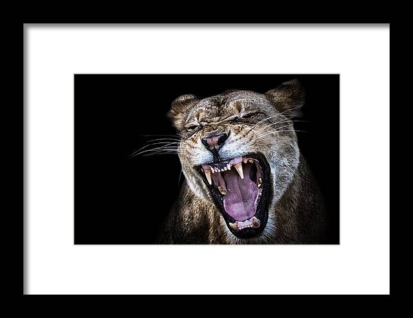 Crystal Yingling Framed Print featuring the photograph Smile by Ghostwinds Photography