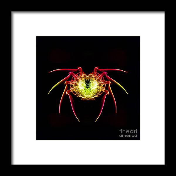 Smoking Trails Framed Print featuring the photograph Smoke Spider by Steve Purnell
