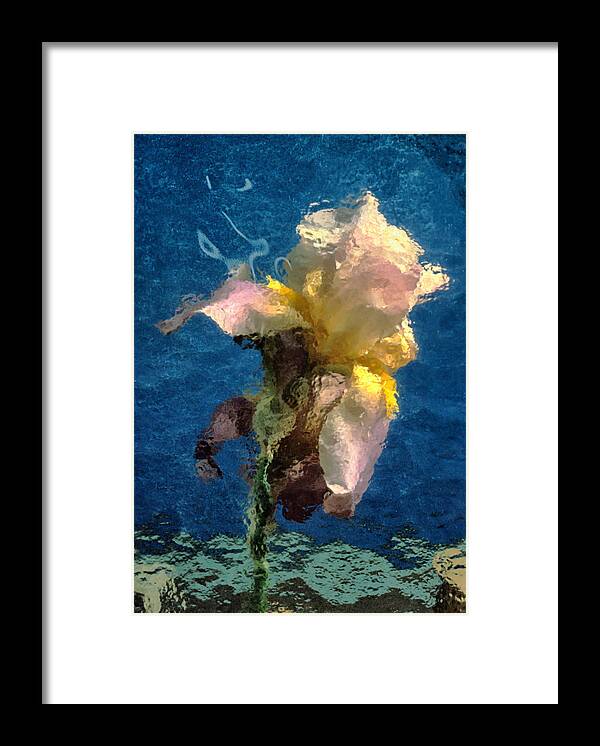 Iris Framed Print featuring the photograph Smoking Iris by Gary Slawsky