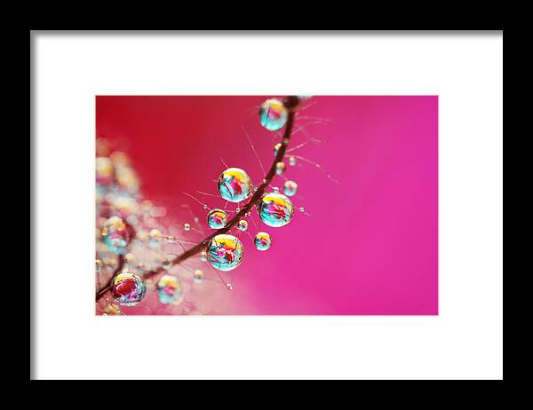 Water Framed Print featuring the photograph Smoking Pink Drops by Sharon Johnstone