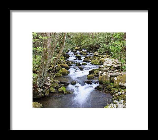 Smoky Mountains Framed Print featuring the photograph Smoky Mountains Stream by Jennifer Ludlum