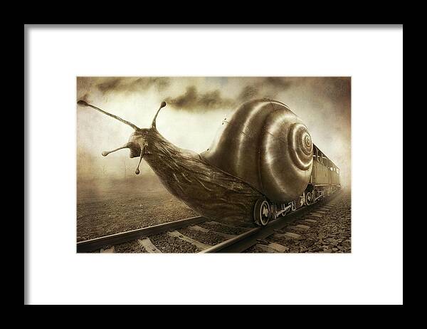 Fun Framed Print featuring the photograph Snail Mail by Christophe Kiciak