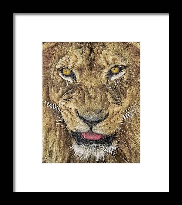 Lion Framed Print featuring the digital art Snarl by Ernest Echols