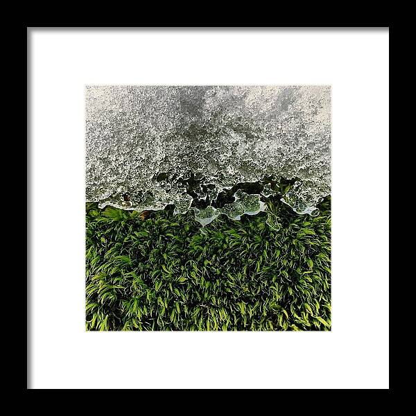 Textures Framed Print featuring the photograph Snow & Moss, 2015.02.07 #bmr #lehman by Aaron Campbell