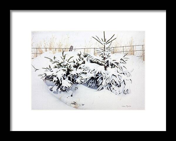Hare Framed Print featuring the painting Snow-bound Snowshoe Hare by Conrad Mieschke