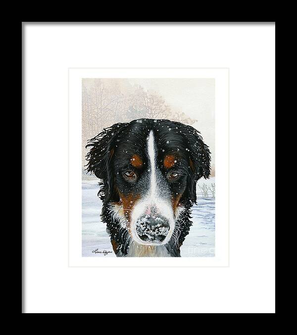 Bernese Framed Print featuring the painting Snow Bumper by Liane Weyers