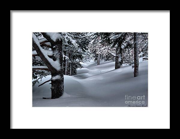 Winterscape Framed Print featuring the photograph Snow covered trail by Steven Reed