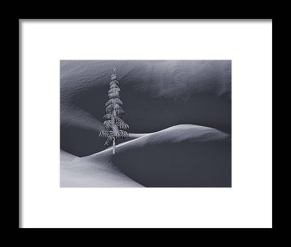 Tree Framed Print featuring the digital art Snow Covered Tree and Mountains BW by David Dehner