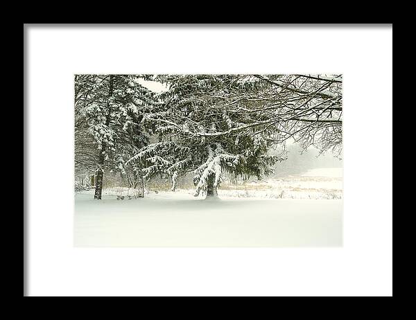 Michigan Framed Print featuring the photograph Snow-covered Trees by Lars Lentz