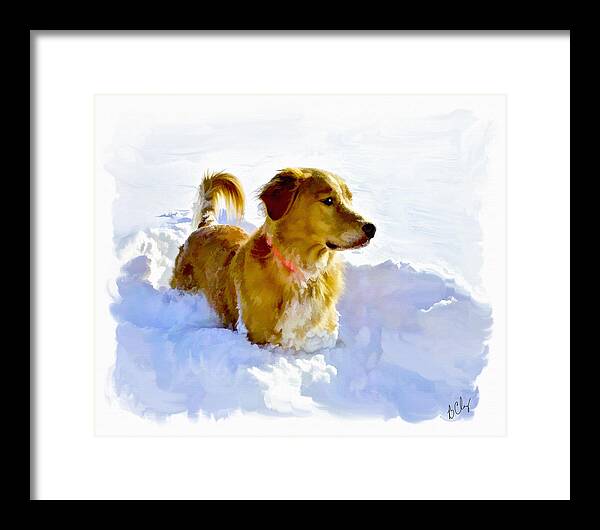 Dakota Framed Print featuring the photograph Snow Dog by Bradley Clay