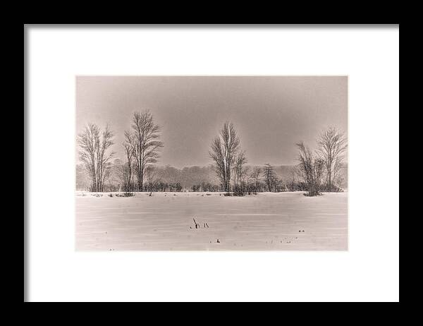 Snowfall Framed Print featuring the photograph Snow Falling on Bare Trees 2 by Beth Venner