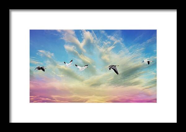 Bird Framed Print featuring the photograph Snow Geese Over New Melle by Bill and Linda Tiepelman