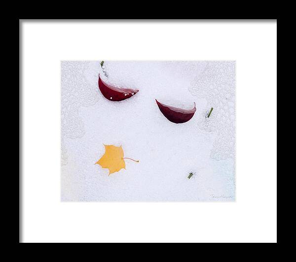 Snow Kissed Framed Print featuring the photograph Snow Kissed by Terri Harper