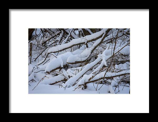 Snow Framed Print featuring the photograph Snow laden by Jane Luxton