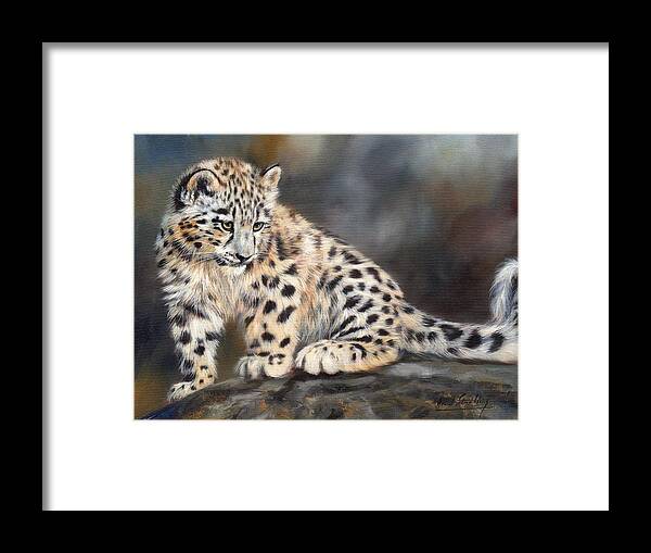 Snow Leopard Framed Print featuring the painting Snow Leopard Cub by David Stribbling