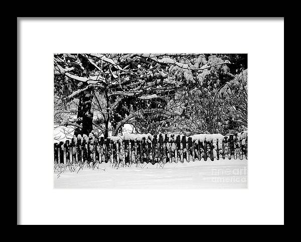 Weather Framed Print featuring the photograph Snow on the Fence by Frank J Casella