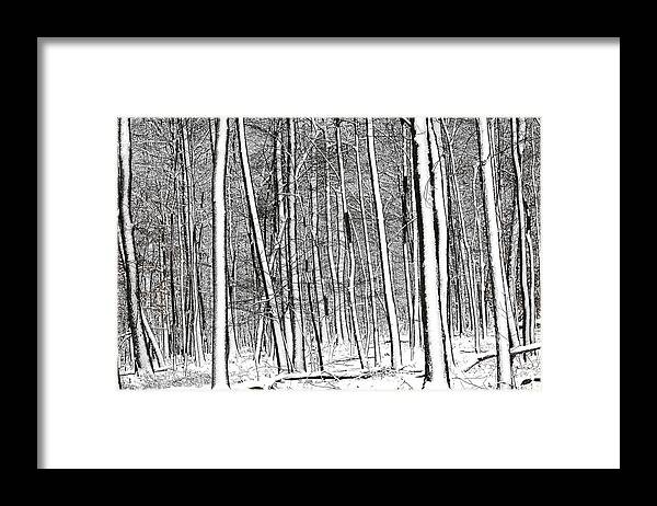 Black And White Framed Print featuring the photograph Snow Trees by Dawn J Benko