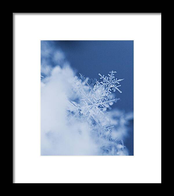 Snowflakes Framed Print featuring the photograph Snowflakes 2 by Jeff Klingler