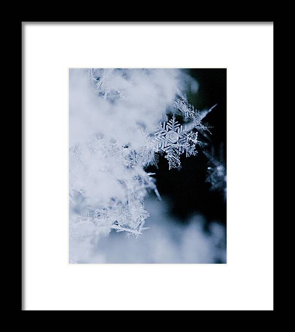 Snowflakes Framed Print featuring the photograph Snowflakes 5 by Jeff Klingler